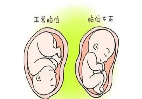 天津代怀机构：﻿来月经能吃生姜吗,来例假吃生姜有影响吗